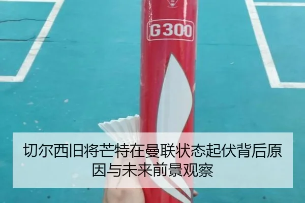 切尔西旧将芒特在曼联状态起伏背后原因与未来前景观察