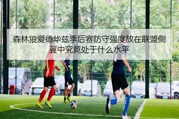 森林狼爱德华兹季后赛防守强度放在联盟侧翼中究竟处于什么水平